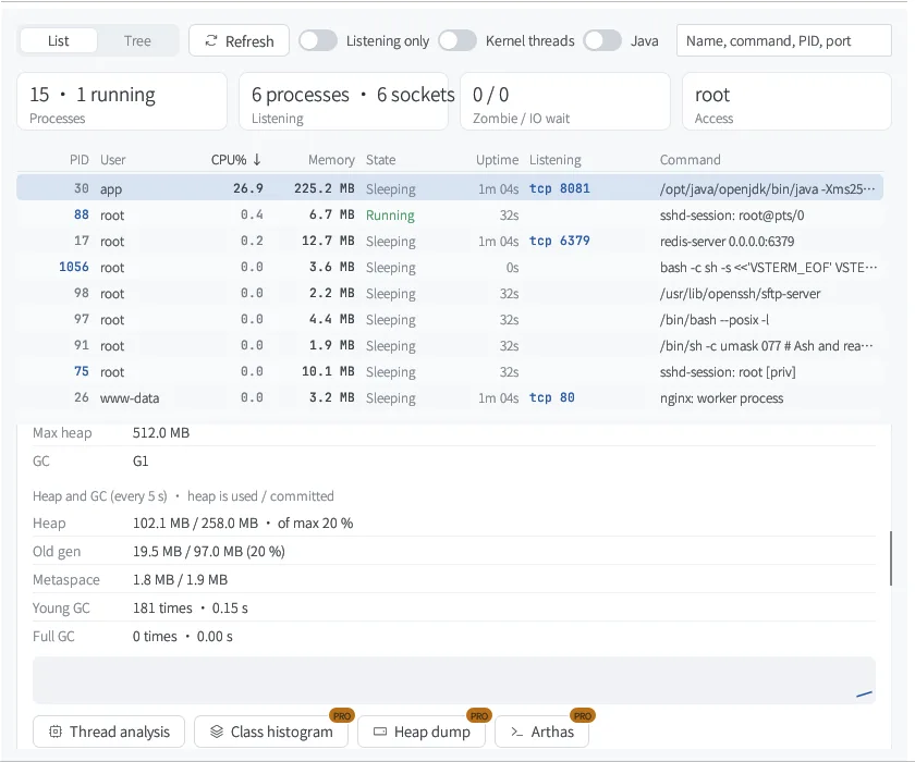 Java heap and GC