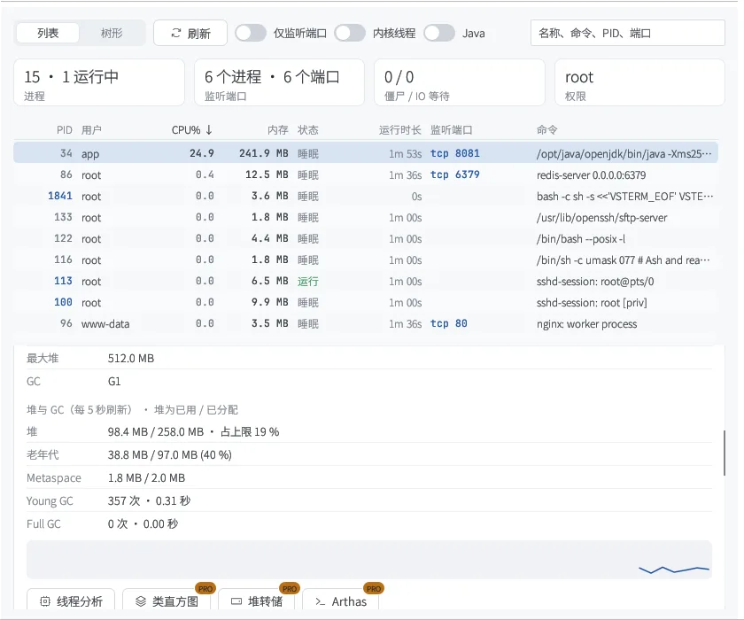 Java 堆与 GC